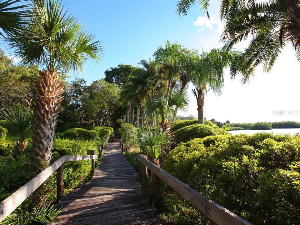 Walking trails along Sarasota Bay within Pelican Cove