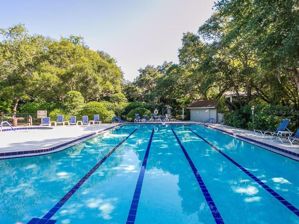 Harbor Lap pool - one of six within Pelican cove