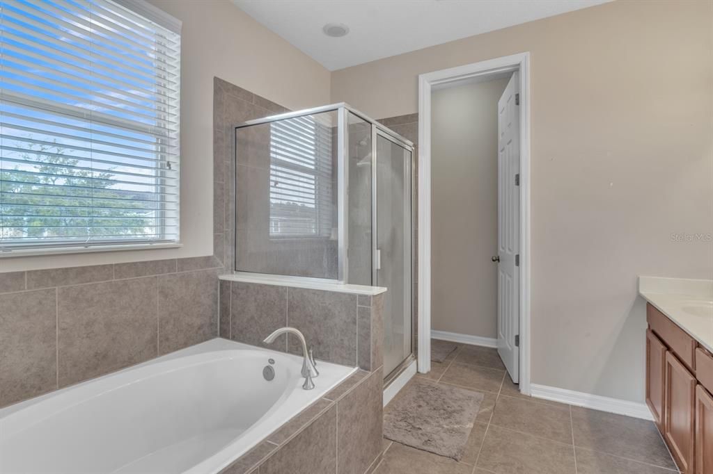 Недавно арендовано: $2,400 (3 спален, 2 ванн, 1731 Квадратных фут)