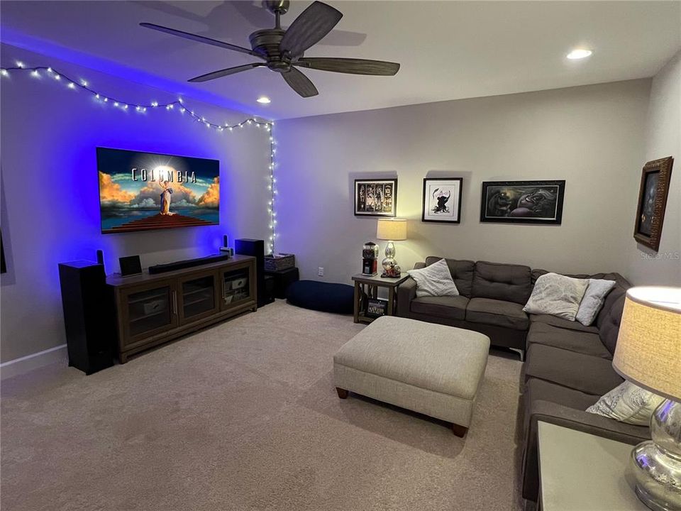 Large Media Room