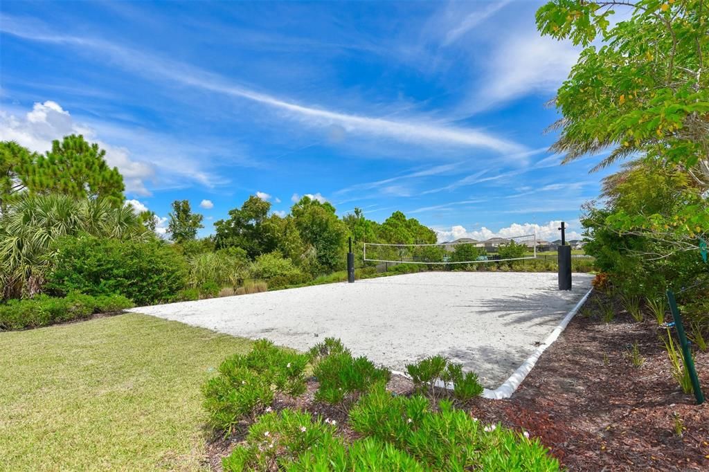 Sand Volleyball court