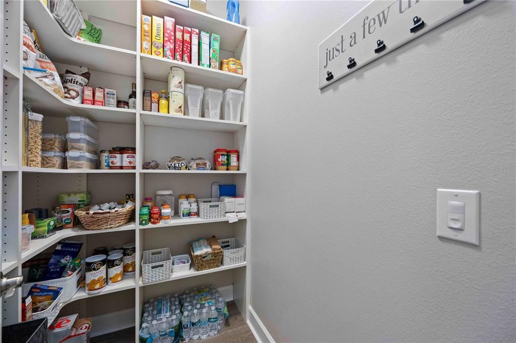 Professionally installed shelving with motion light entry sensor