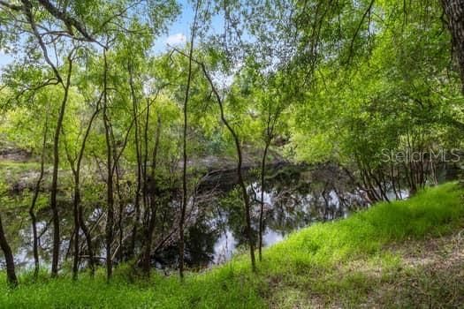 Creek from pathway