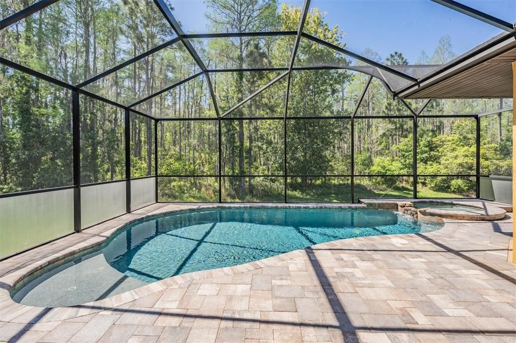 Sparkling pool/spa, lanai with fireplace views tree-line