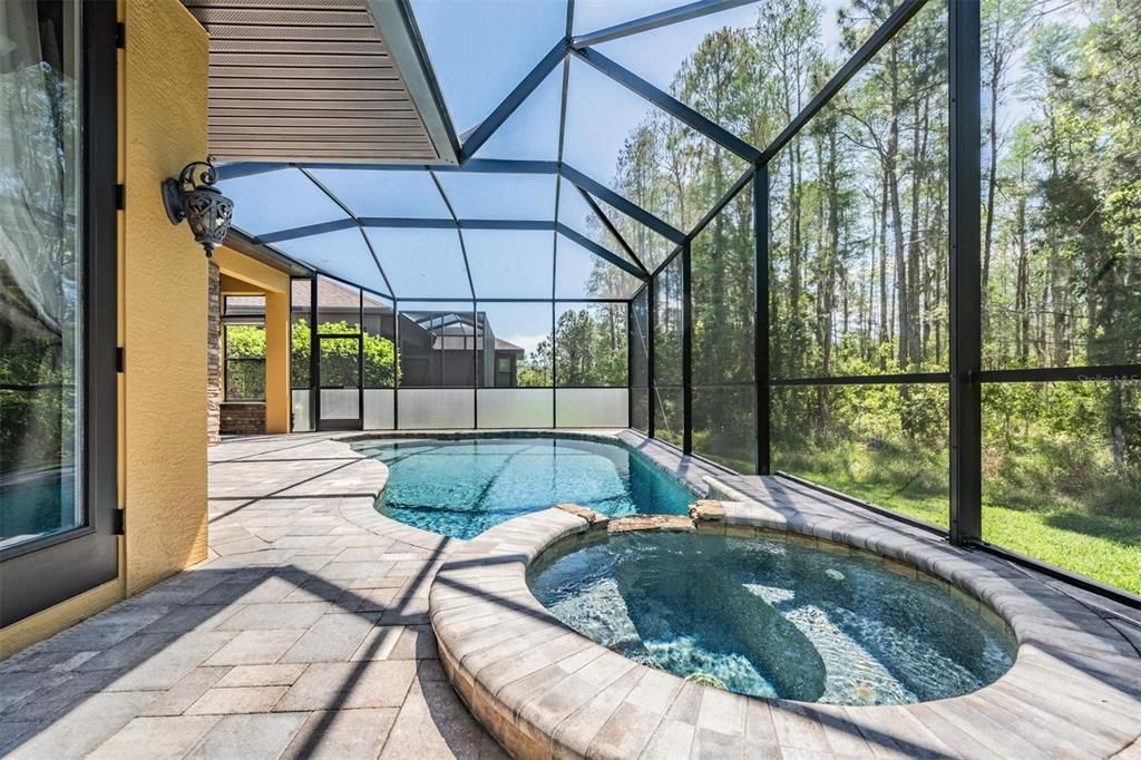 Screened-in pool/spa/fireplace with tree-line view