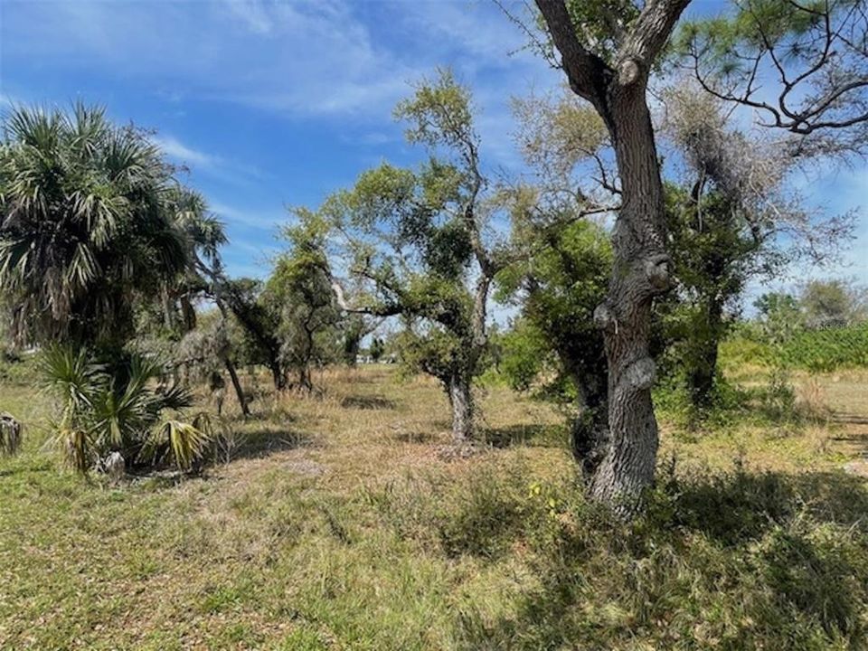 En Venta: $219,500 (0.92 acres)