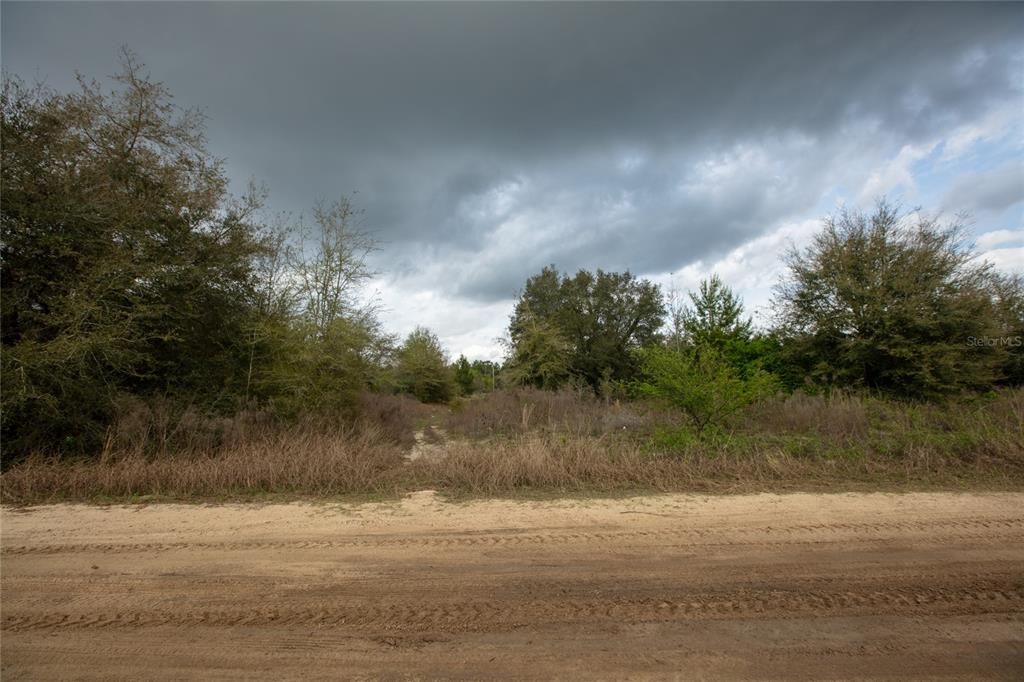 Recently Sold: $35,000 (1.56 acres)