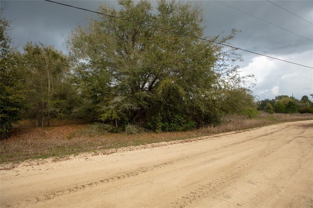 Recently Sold: $35,000 (1.56 acres)