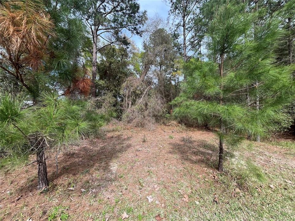 Recently Sold: $21,400 (0.51 acres)