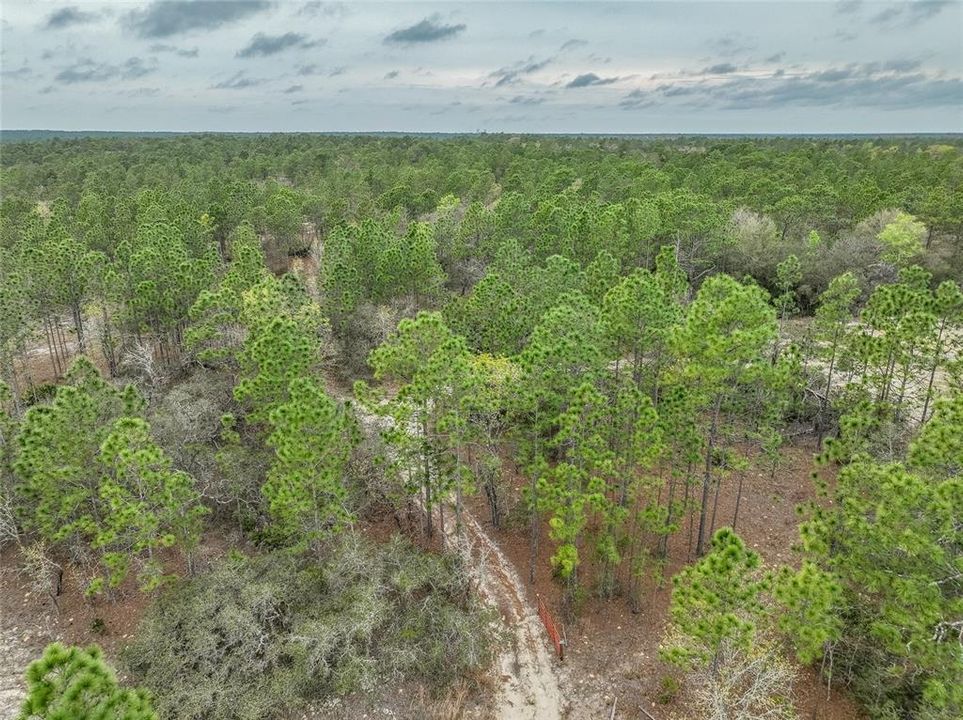 For Sale: $545,000 (10.12 acres)