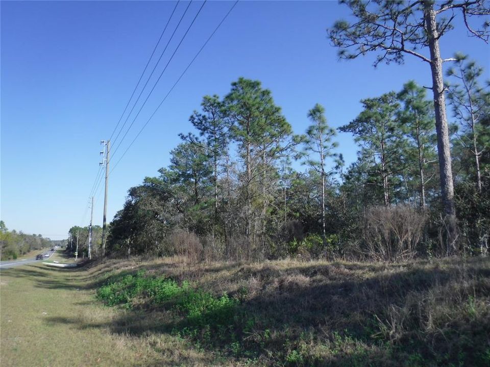 For Sale: $68,915 (1.79 acres)