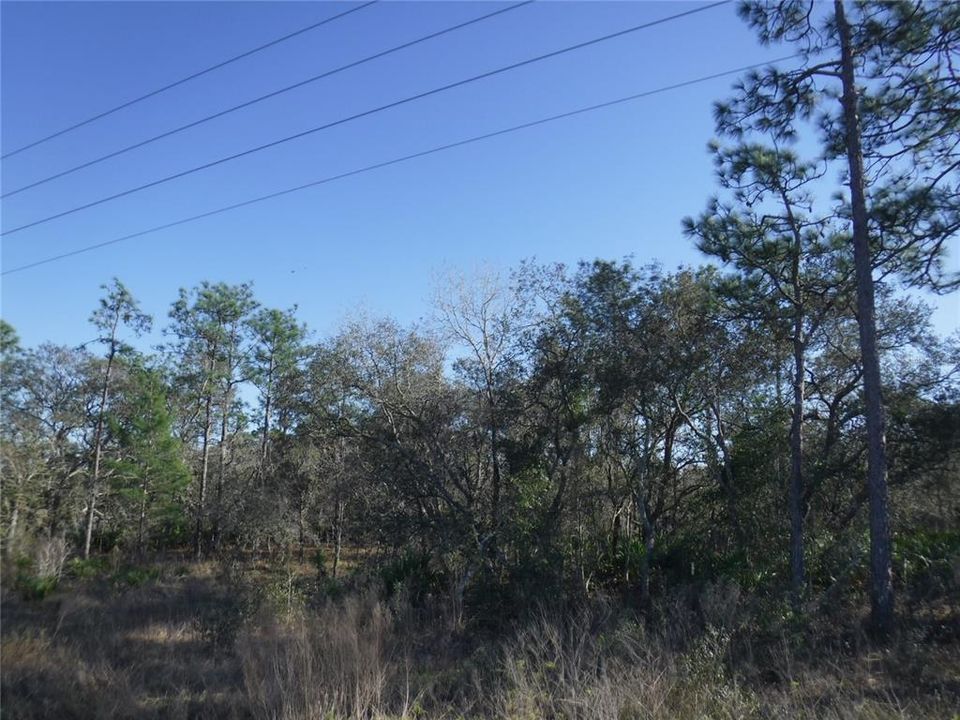 For Sale: $342,650 (8.91 acres)