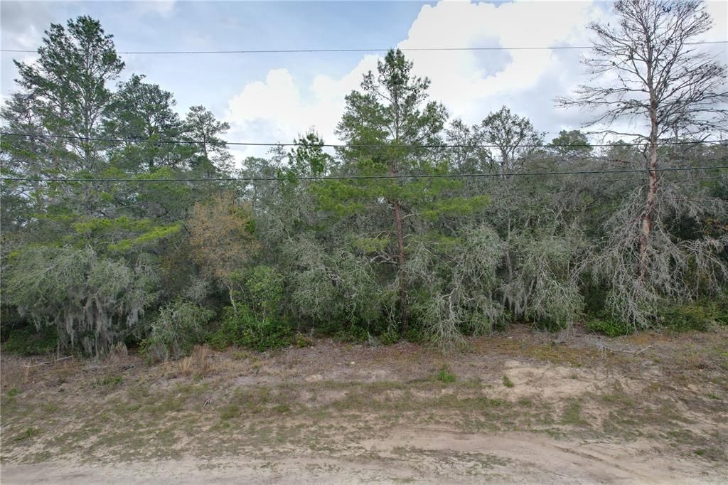 For Sale: $10,900 (0.25 acres)