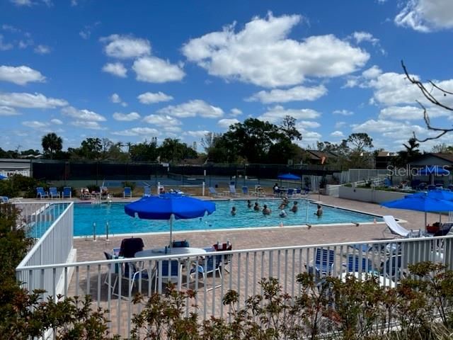 Main clubhouse pool!