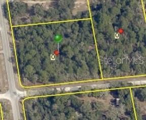 Recently Sold: $100,000 (2.60 acres)