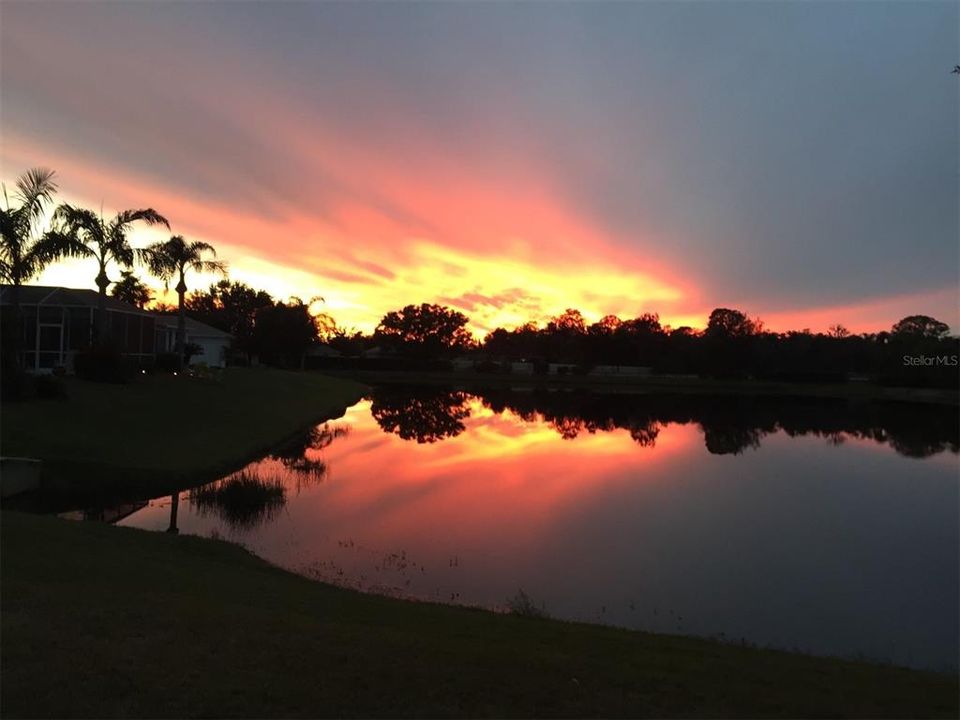 Spectacular sunset from from your backyard!