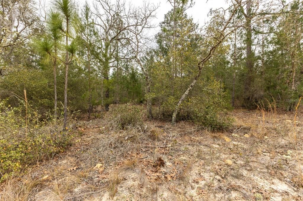 For Sale: $43,900 (2.12 acres)