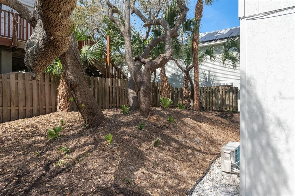 Backyard area with room for hammocks.