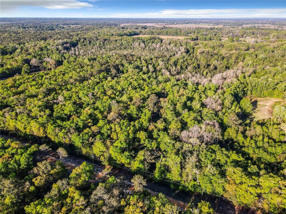 Недавно продано: $115,000 (9.66 acres)