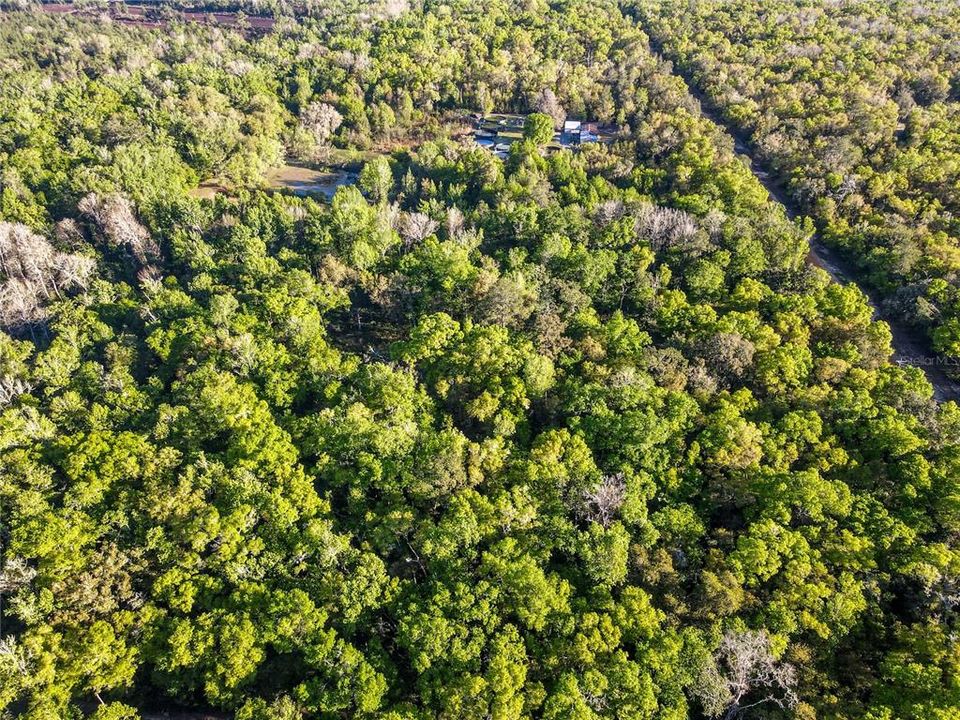 Недавно продано: $115,000 (9.66 acres)