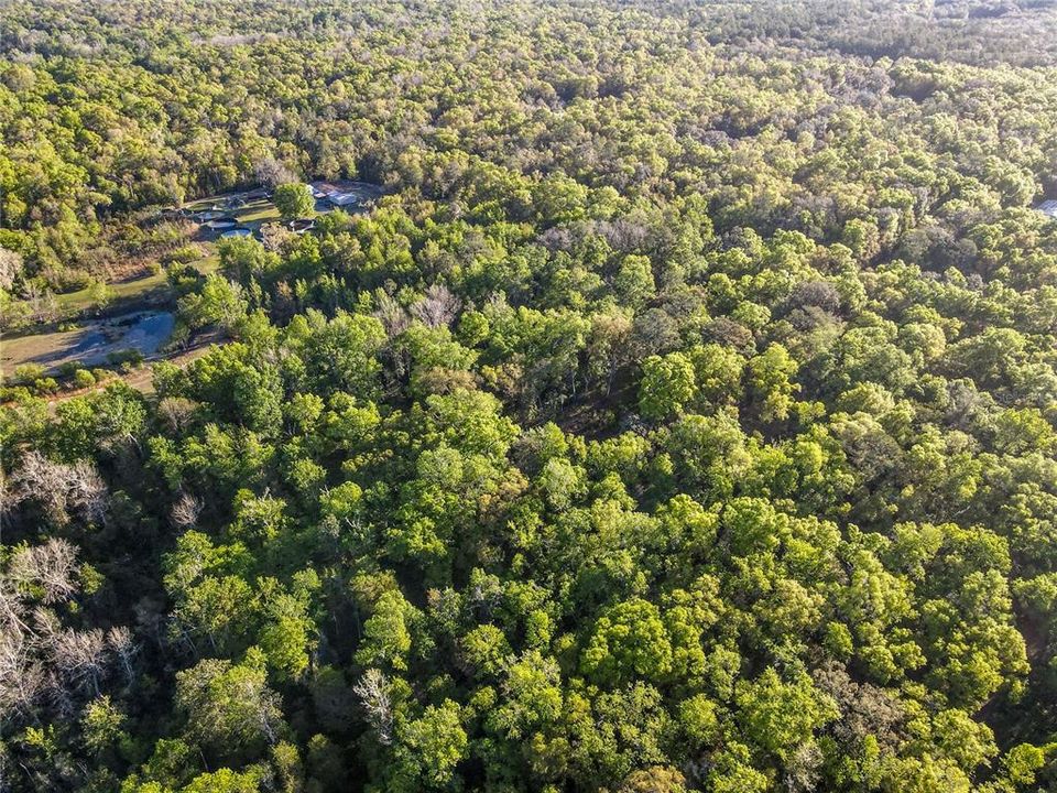 Недавно продано: $115,000 (9.66 acres)