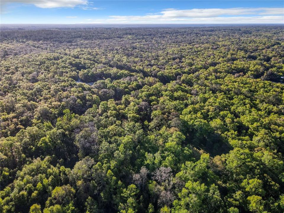 Недавно продано: $115,000 (9.66 acres)