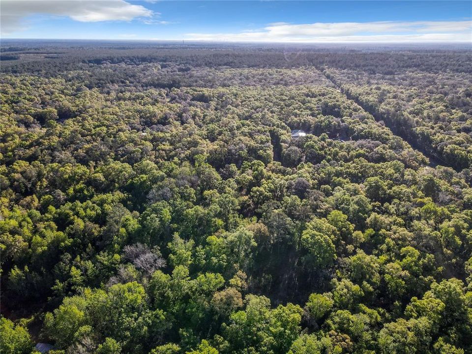 Недавно продано: $115,000 (9.66 acres)