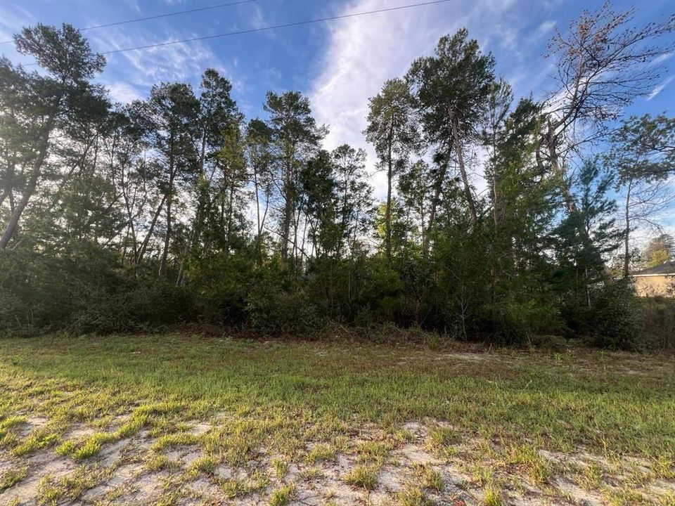 Active With Contract: $64,900 (0.62 acres)