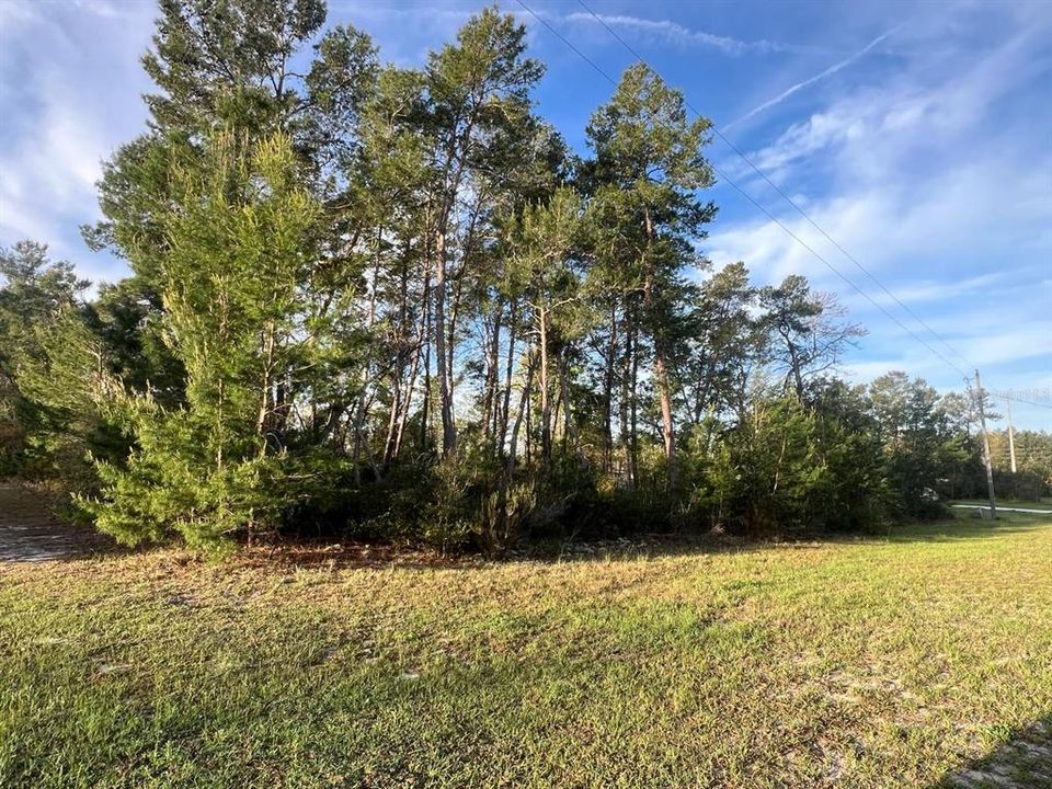 Active With Contract: $64,900 (0.62 acres)