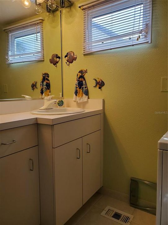 Sink area in primary bathroom