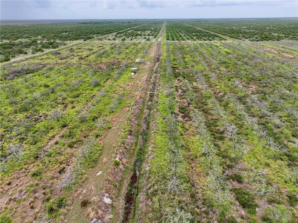For Sale: $300,000 (30.00 acres)