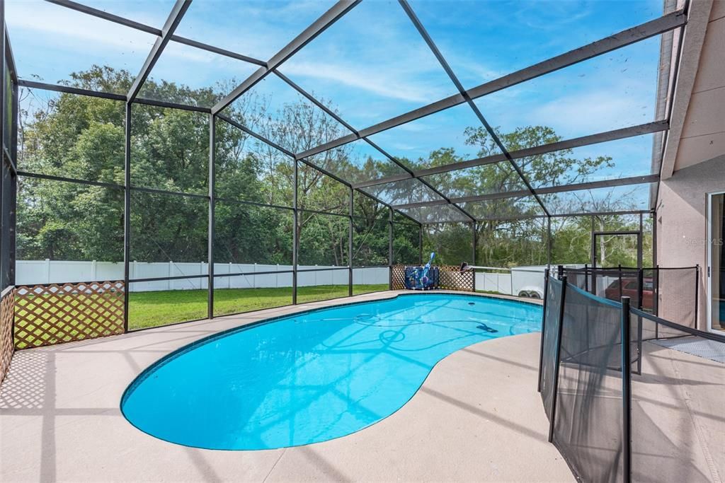 Pool with screen enclosure