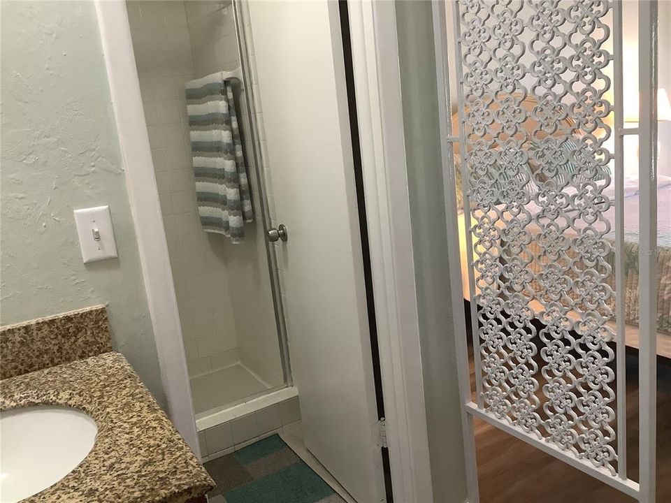Master bathroom has step in shower