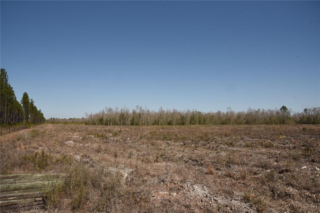 For Sale: $1,437,300 (638.80 acres)