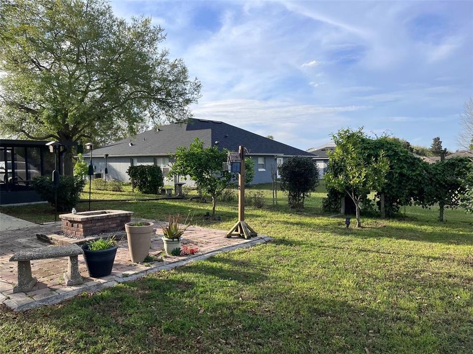 rear patio area