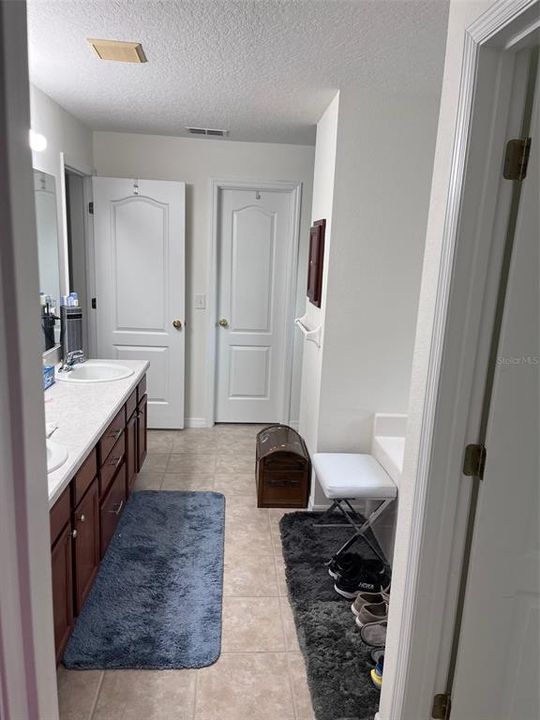 Primary bath/walk in closet