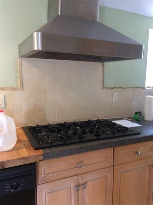 Fancy gas cook top and stainless steel range hood