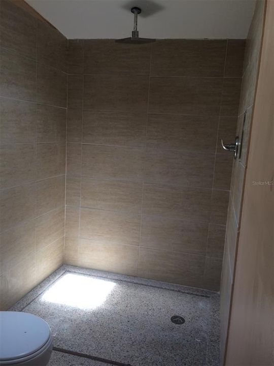 Primary en-suite shower