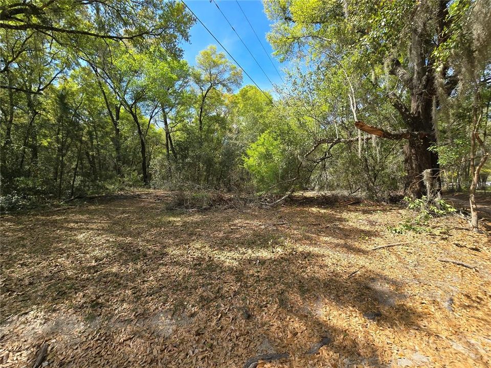 For Sale: $175,000 (3.93 acres)
