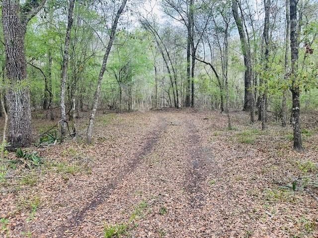 For Sale: $139,900 (10.32 acres)