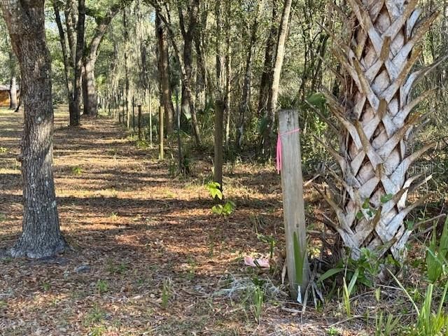 Vendido Recientemente: $79,900 (3.33 acres)