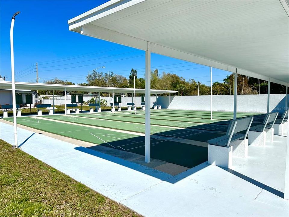 Shuffleboard