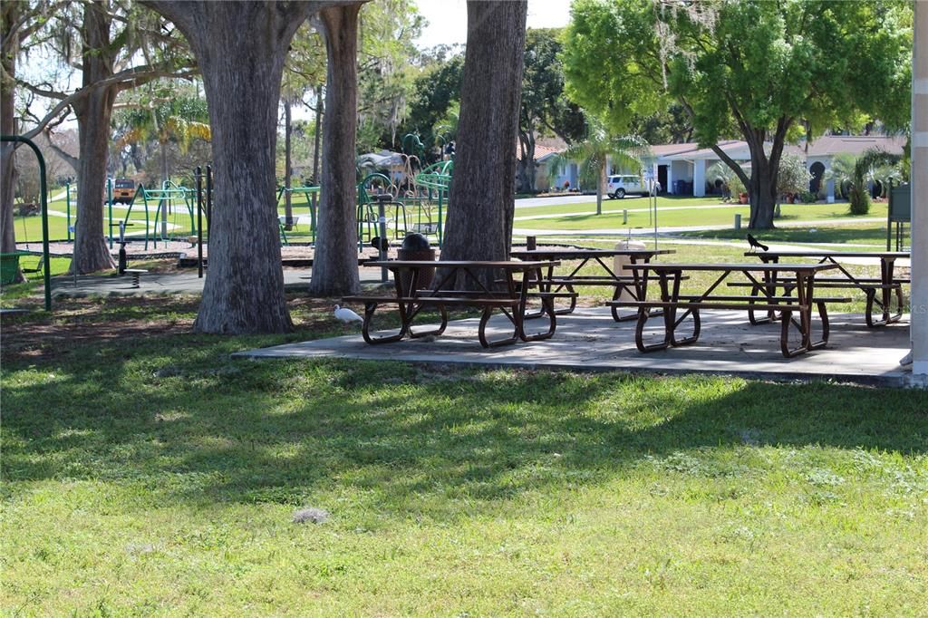 Playground and picnic area.