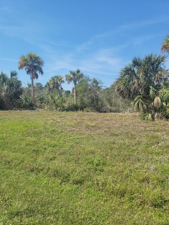 For Sale: $48,500 (0.30 acres)