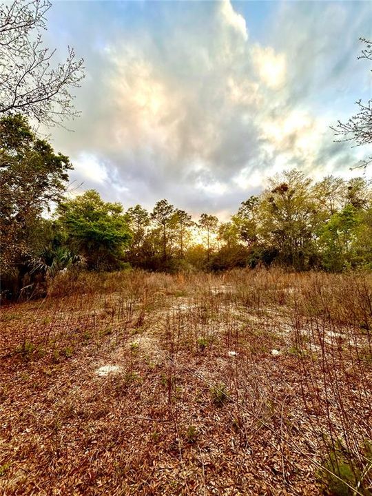 For Sale: $35,000 (0.22 acres)
