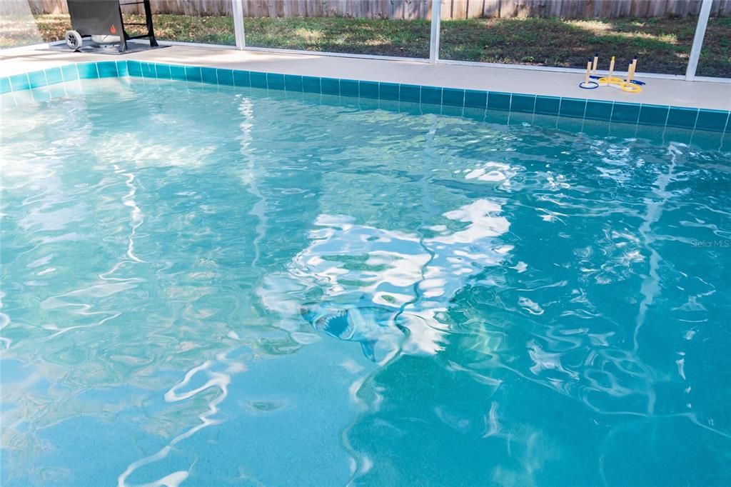 Shark motif on pool floor