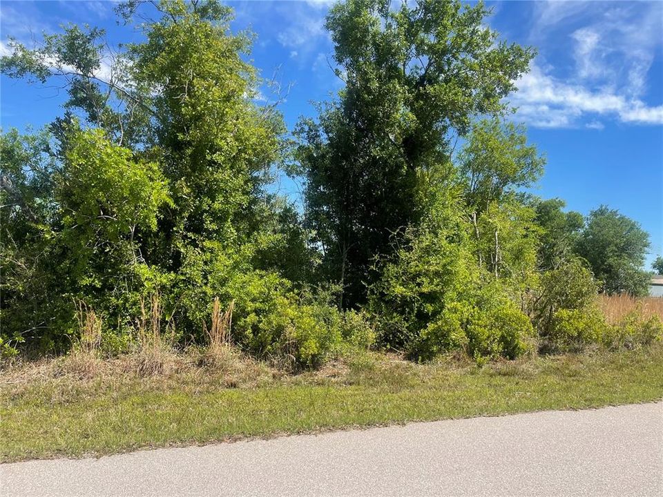 Active With Contract: $17,500 (0.22 acres)