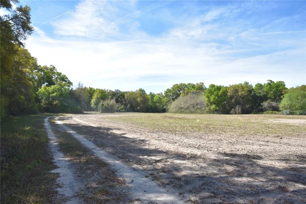 For Sale: $155,000 (6.60 acres)