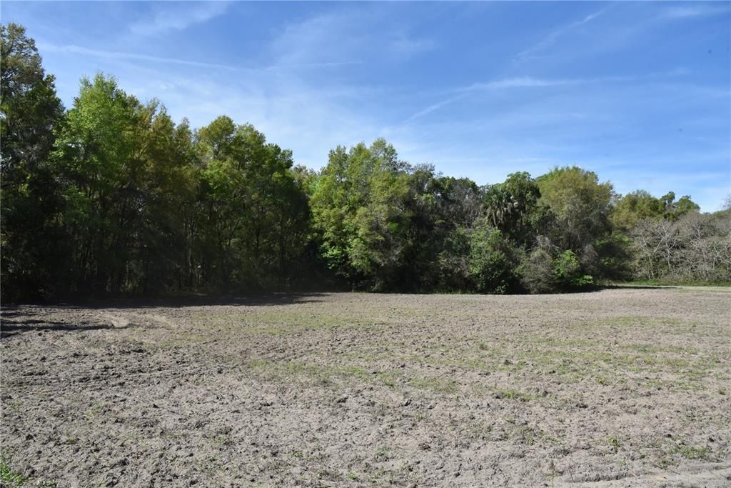 For Sale: $155,000 (6.60 acres)