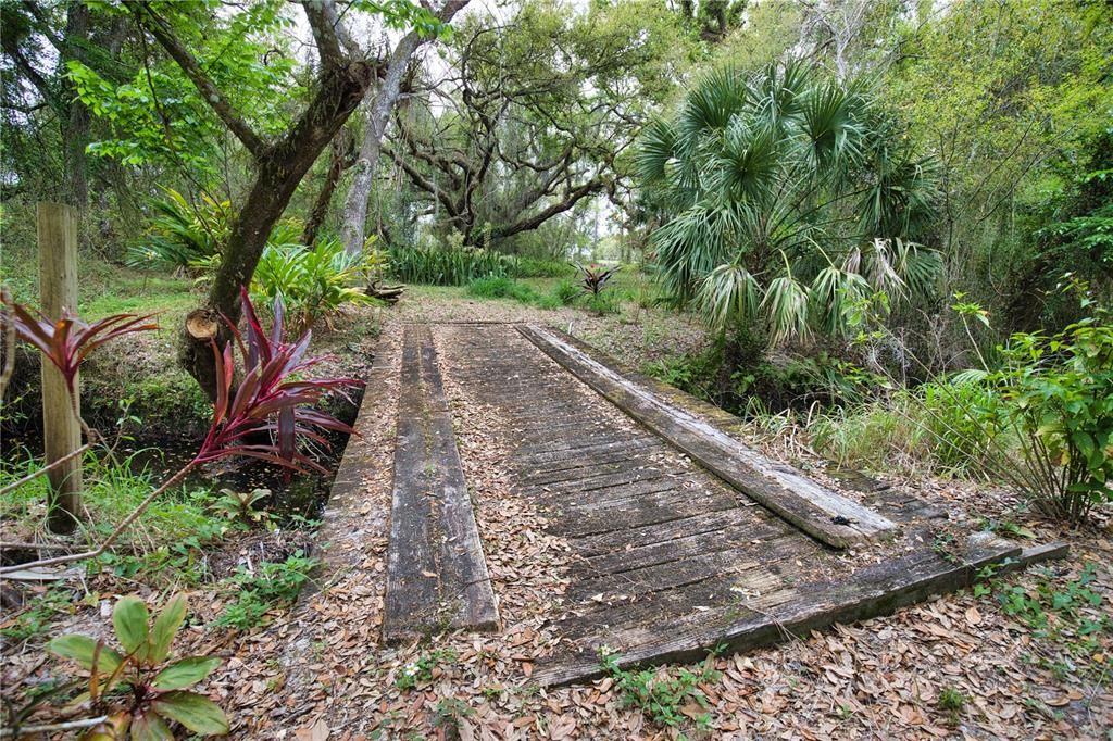 Foot bridge over creek